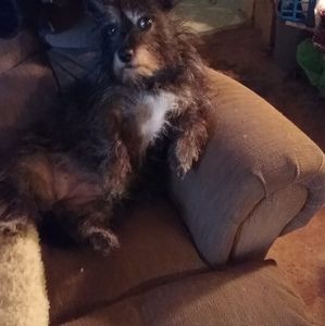 Meet your Posher, Bill